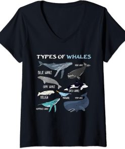 Womens Types Of Whales - Orca Narwhal V-Neck T-Shirt